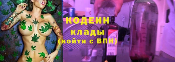 гашик Вяземский