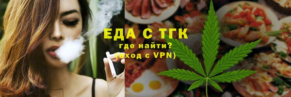 гашик Вяземский