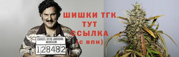 гашик Вяземский