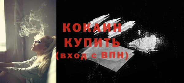 гашик Вяземский