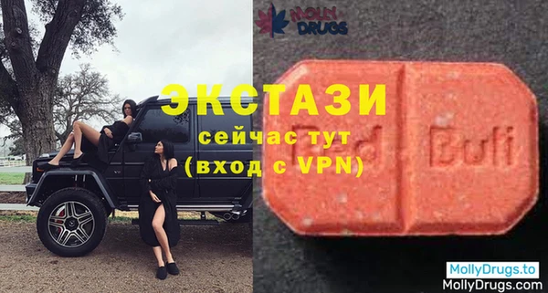 гашик Вяземский