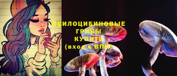 ешки Вязники