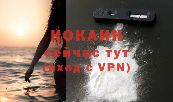 гашик Вяземский