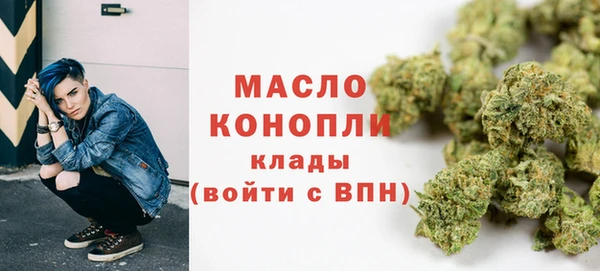гашик Вяземский