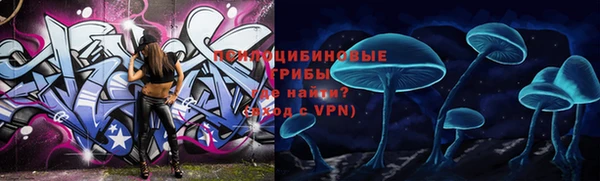 гашик Вяземский