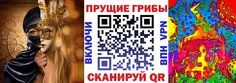 Псилоцибиновые грибы Psilocybe  Купить  Сорочинск 
